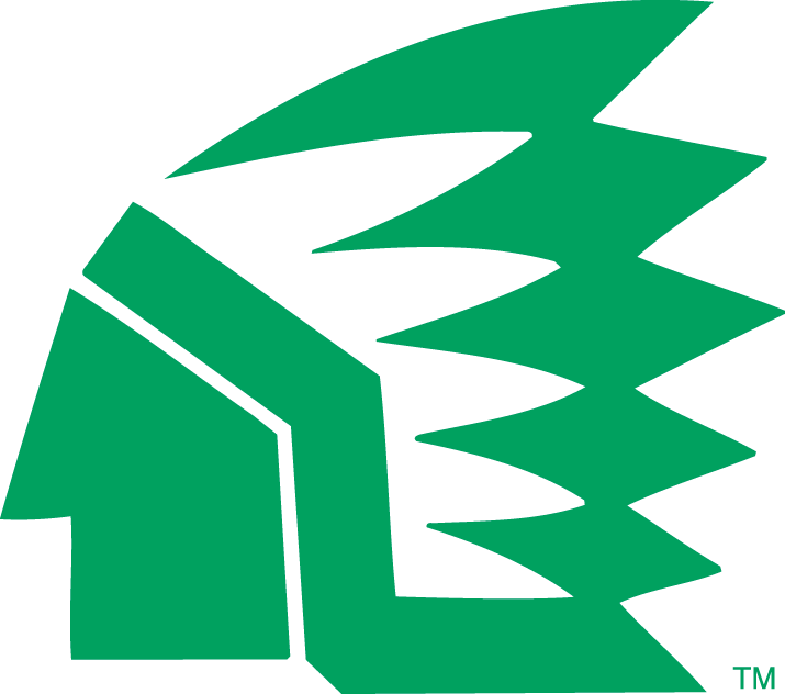 North Dakota Fighting Hawks 1976-1999 Primary Logo diy iron on heat transfer